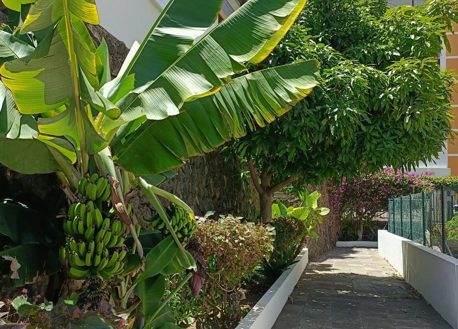 Ferienwohnung Duplex Sol Y Mar Puerto de la Cruz  Puerto de la Cruz (Tenerife)